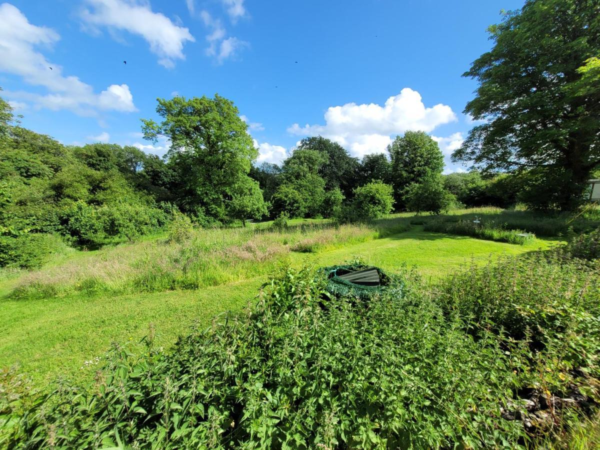 Farmhouse B&B Family Stay Or Romantic Break, On Our Smallholding Close To Narberth Zewnętrze zdjęcie